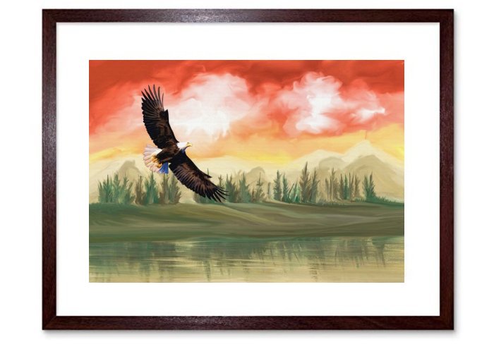 Digital Art Digital Painting Eagle Artwork Art